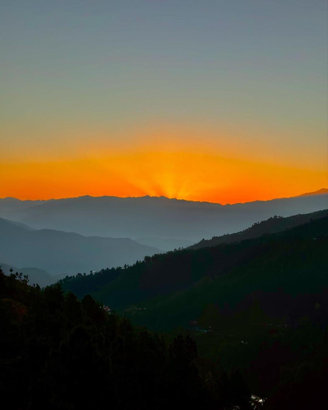 Summer Hill Resort Chail Exterior photo