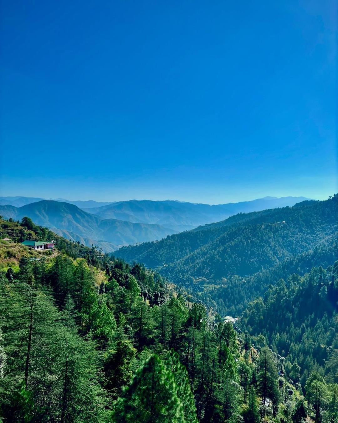 Summer Hill Resort Chail Exterior photo